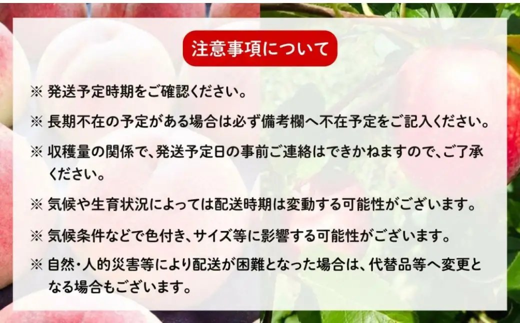 【9月下旬～11月上旬発送】飛騨りんご2種詰め合わせ 3kg | りんご リンゴ KU001