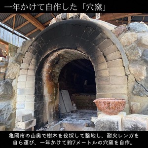 焼き締め 平茶碗 丹波音羽焼