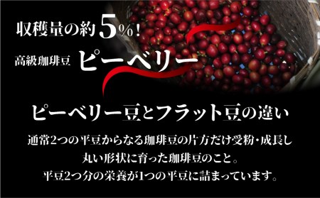 コーヒー豆 ピーベリーおまかせ3種で300g ピーベリーコーヒー豆 OHAKO [HL015]