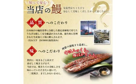 1尾で約215g～240gのビッグサイズ うなぎ蒲焼 2尾 計約430g～480g （タレ・山椒付き） 【通常発送】【nks700B】