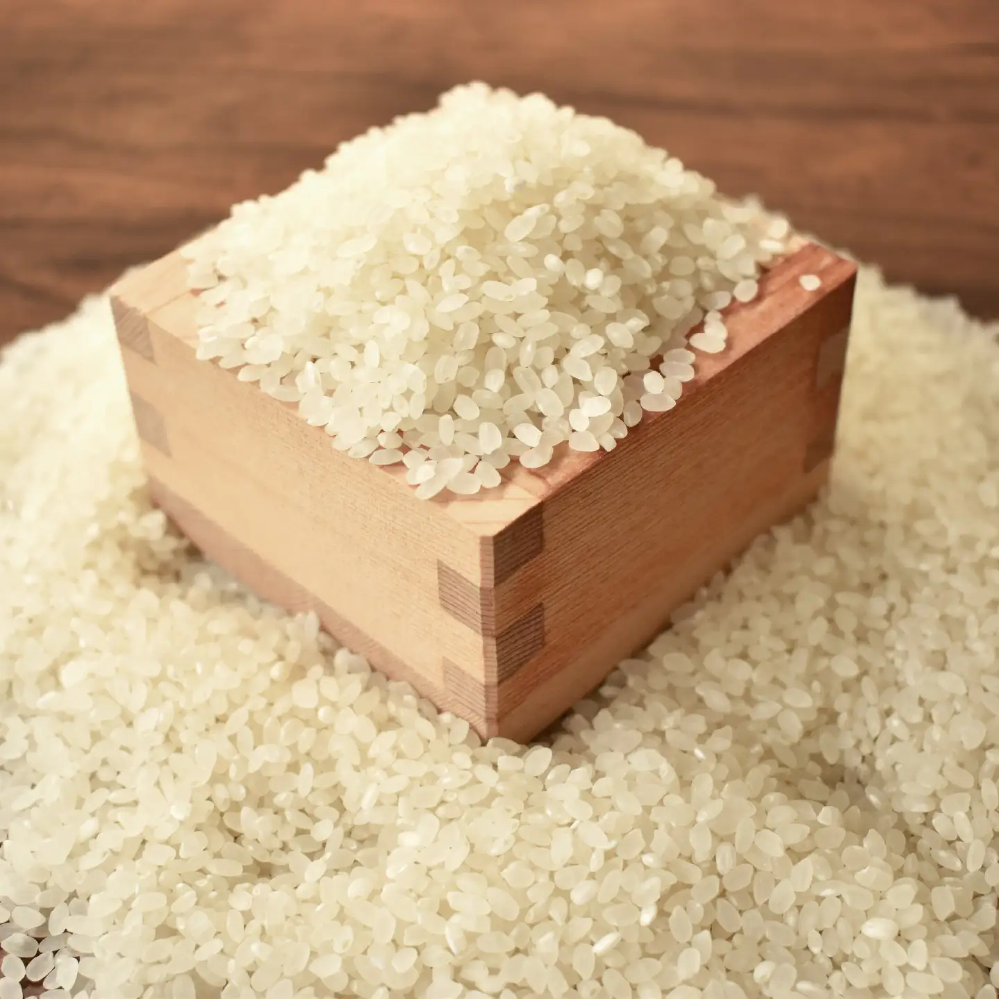 【3回定期便】《 新米先行予約 》2026年10月発送開始 長老米 5kg×3カ月連続 総量15kg 令和8年産 新米 京都 京丹波町産 米 コシヒカリ  [030YS003R]