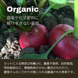 【8回定期便】丹波産の旬野菜セット 有機 野菜