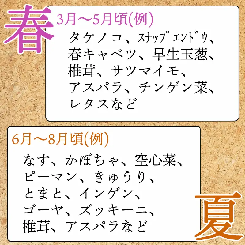 野菜セット 新鮮とれたて旬の野菜 季節の野菜 詰合せ