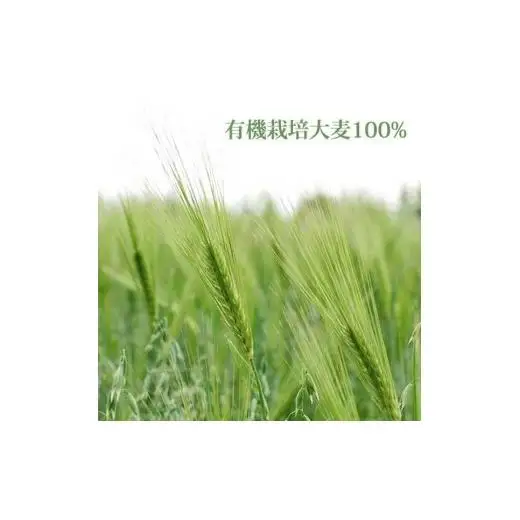 オーガニックむぎ茶 (10g×20p) ×20袋 有機栽培大麦100％使用