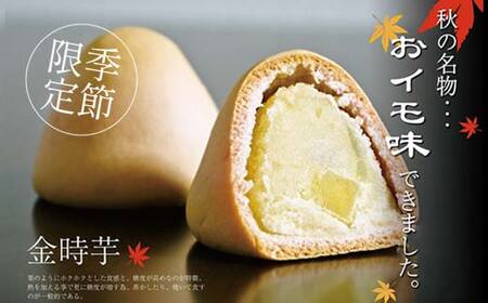 【香川県善通寺市・琴平町共通返礼品】灸まんの味便り 「秋」 灸まん さぬきうどん 名物 詰合せ セット まんじゅう 饅頭 和菓子 銘菓 スイーツ いも うどん 麺 かけだし ご当地 名産 ギフト 贈り物 四国 F5J-327