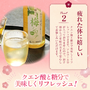 梅シロップ500ml×３本（化粧箱・ラッピング込み）セット　015-001