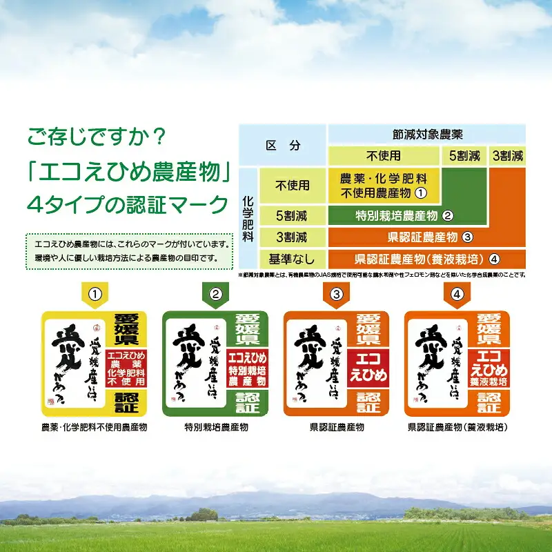 【 新米 】 新米 コシヒカリ 令和8年度産 8kg 農業組合法人はざめ G022-015001