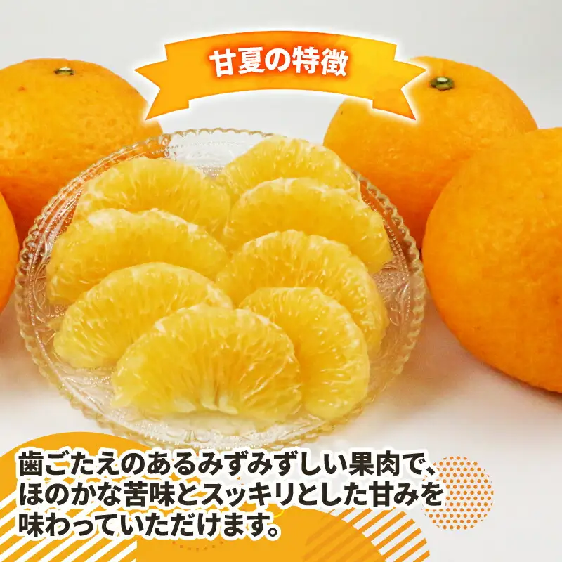 甘夏 12.5kg 家庭用 平石農園 甘夏 B010-017004