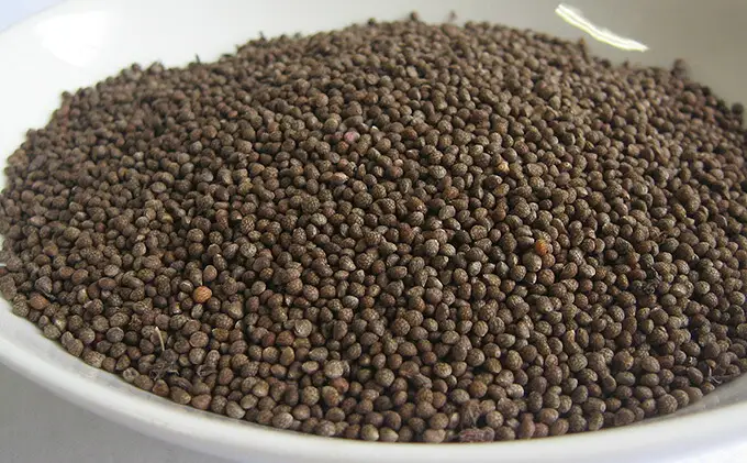 えごま油 生搾り 140g ×2本 手作り オイル 御槇米生産協議会 自家製 ごま油ごま油ごま油ごま油ごま油ごま油ごま油 油 J024-018005