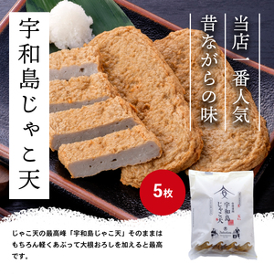 じゃこ天かまぼこAセット3種安岡蒲鉾店 練り物練り物 C015-020001