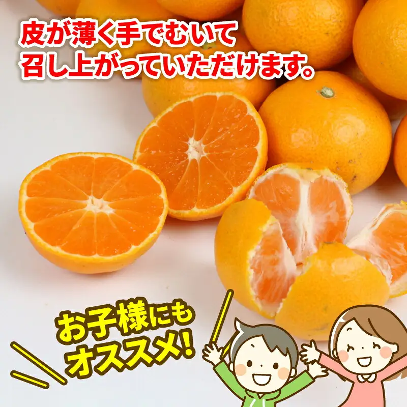 【みかん】早生温州10kgWFみかん B012-024001