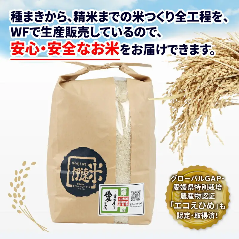 【米】温州みかん小玉約3kg伊達米コシヒカリ3kgWF│B012-024003