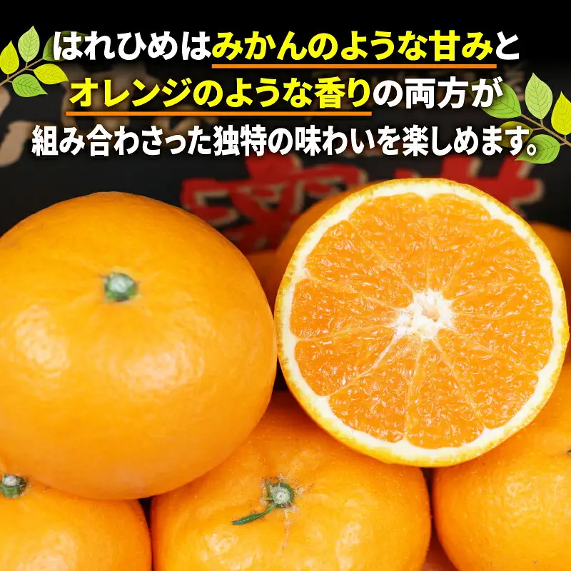 【柑橘】はれひめ4kgWF柑橘B012-024005