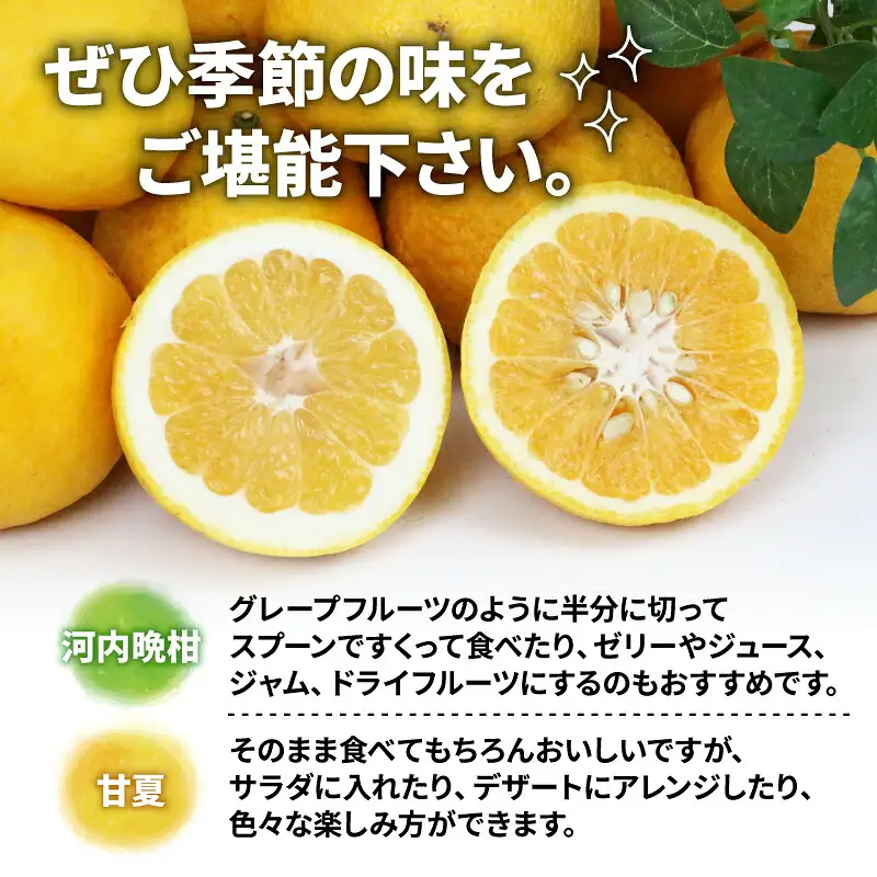 河内晩柑 4kg 甘夏 4kg 詰め合わせ セット WF 甘夏 B012-024009