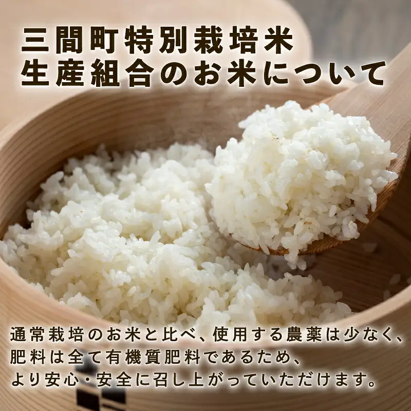 特別栽培米 コシヒカリ 計 10kg 令和7年度産 三間町特別栽培米生産組合 美沼姫 お弁当 おにぎり 玄米 対応可 ふっくら ツヤツヤ 甘い 三間米 米 国産 愛媛 宇和島 G030-032001