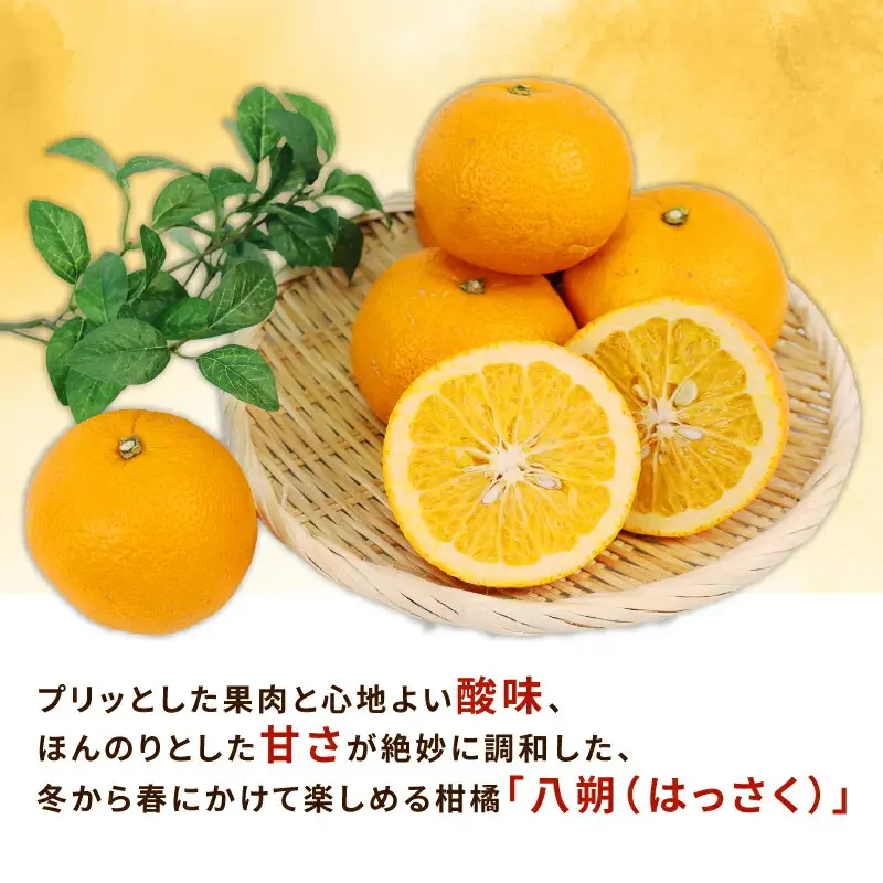 訳あり 八朔 10~12kg 訳あり ふるくとファーム かなこちゃんち B015-037003