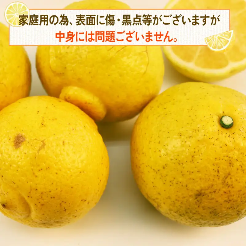 【先行予約】はるか 9kg 家庭用 つばさ農園 柑橘 柑橘 B010-048002