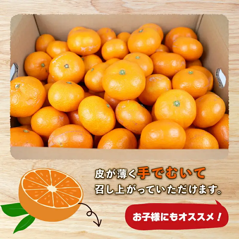  【 みかん 】みかん南柑20号10kg家庭用上杉果樹園|B012-056002