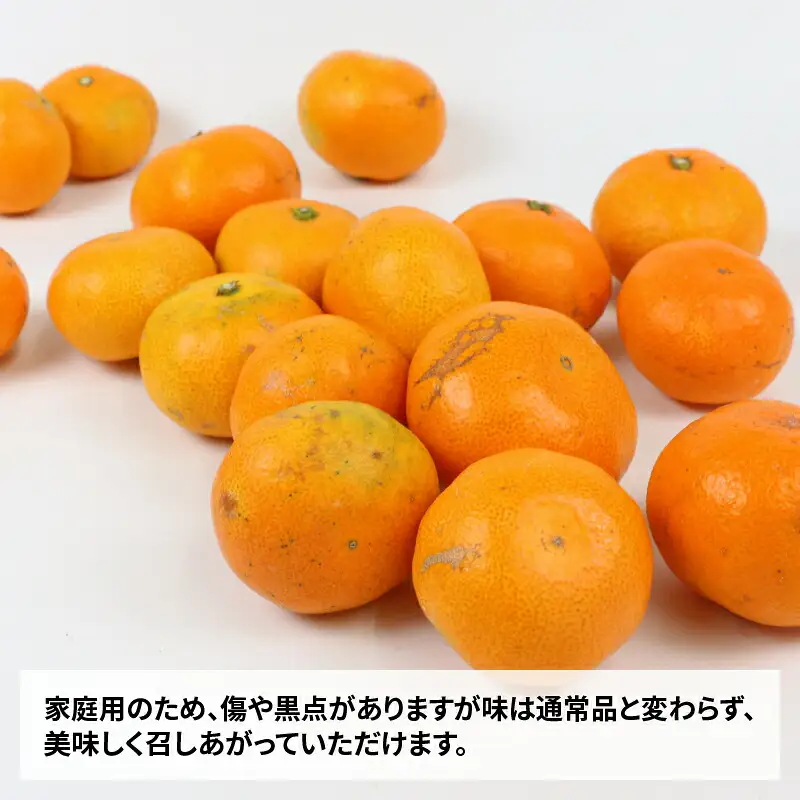 愛媛 みかん 早生 温州 10kg 家庭用 サイズ不揃い NBU みかん B015-058001