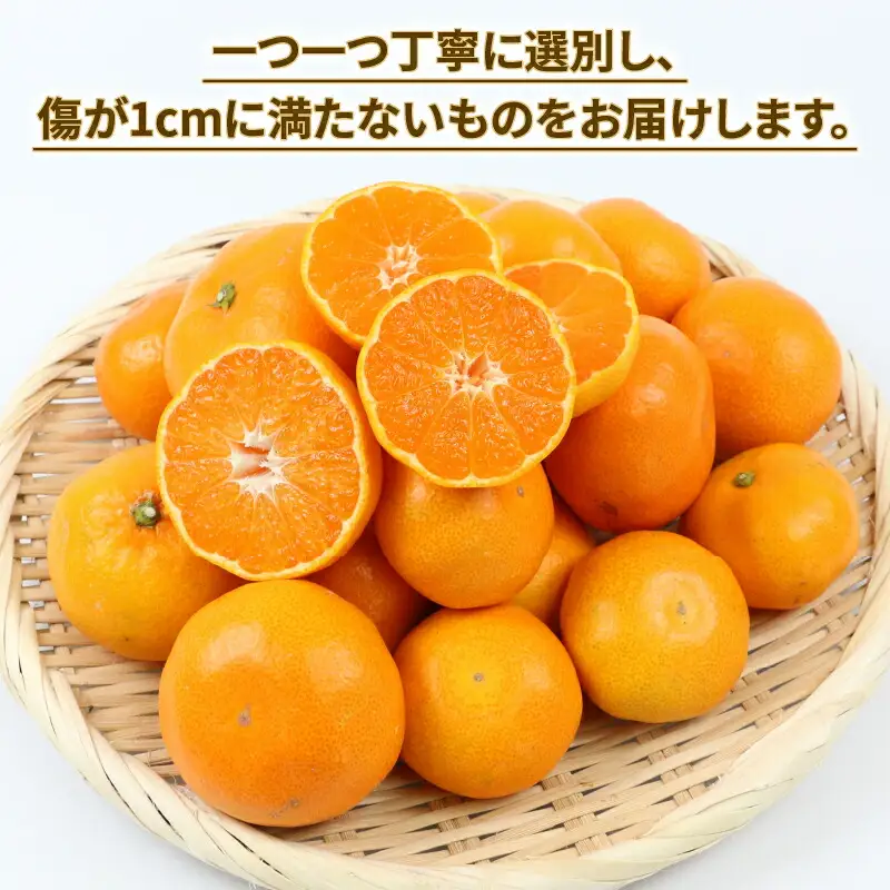 贈答用 優品 愛媛 みかん 早生 温州 10kg サイズ不揃い NBU B018-058004