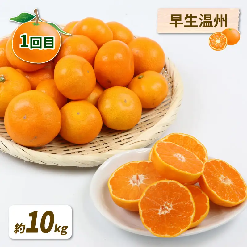 【定期便】みかん定期便柑橘3回NBU |B050-058007 みかん