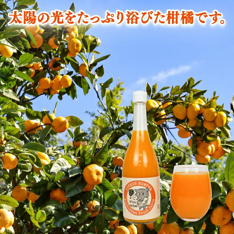 みかんジュース (720ml×6本) │ プレミアム みかんジュース ヨシファーム H018-067005