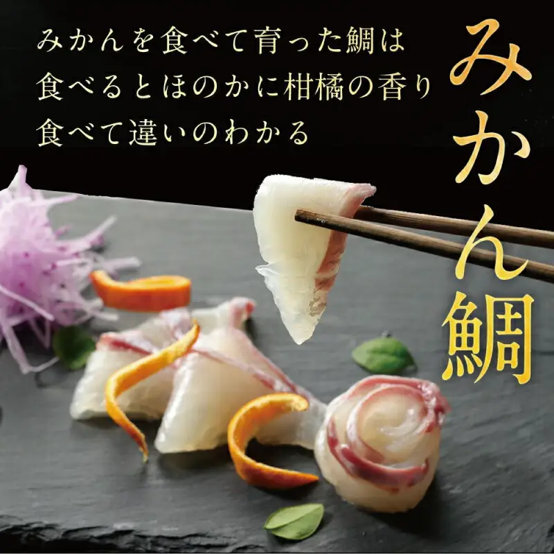 みかん鯛 刺し身用270g~350g 宇和島ﾌﾟﾛｼﾞｪｸﾄ | 刺し身D012-071001