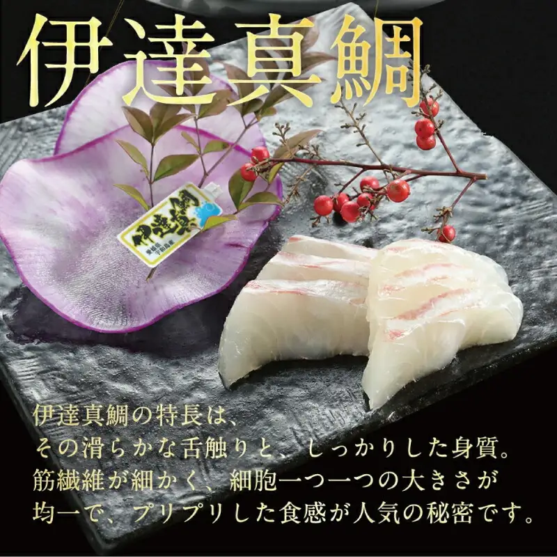 伊達真鯛 刺身 柵 宇和島プロジェクト 真鯛 D012-071002