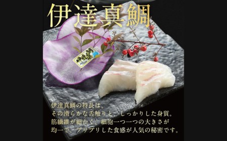 伊達真鯛 刺身 柵 宇和島プロジェクト真鯛 D022-071005