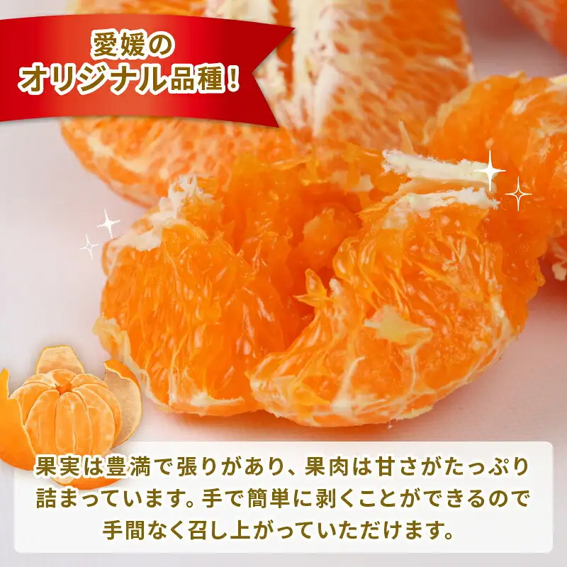 【甘平】高級柑橘2kg家庭用ハウス栽培ハマみかん甘平|B012-075002