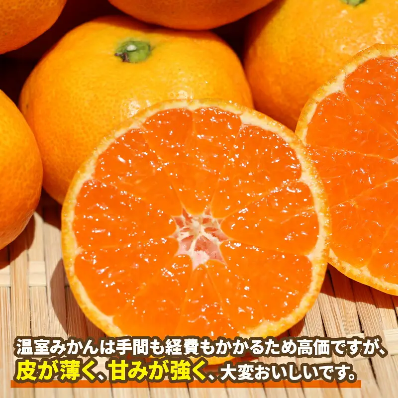 ハウスみかん 2kg家庭用ハマみかん B015-075004