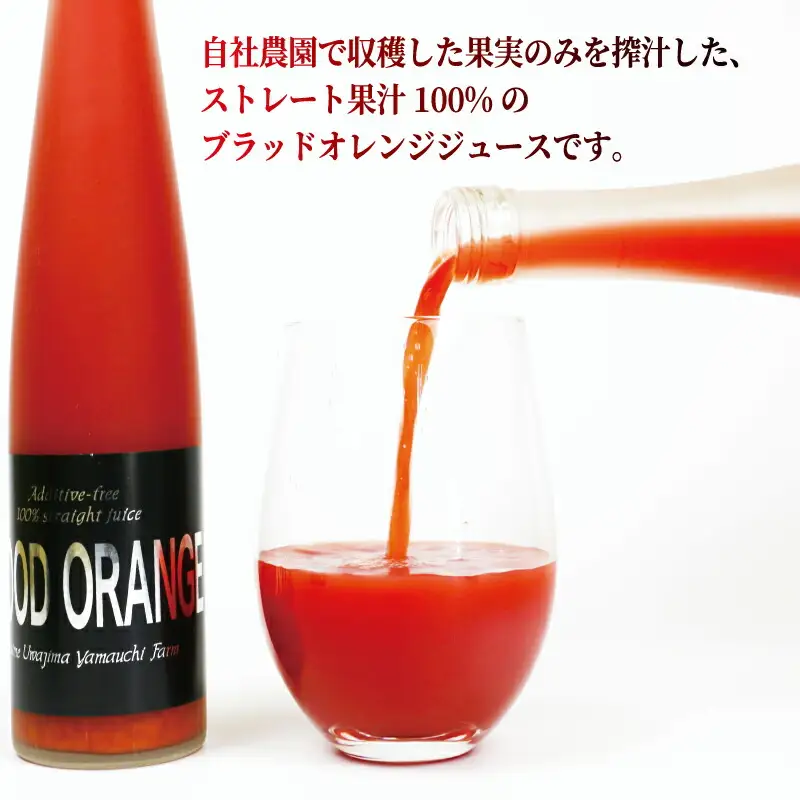 ブラッド オレンジジュース 370ml ×2本 YAMAUCHI FARM オレンジジュース H016-084001
