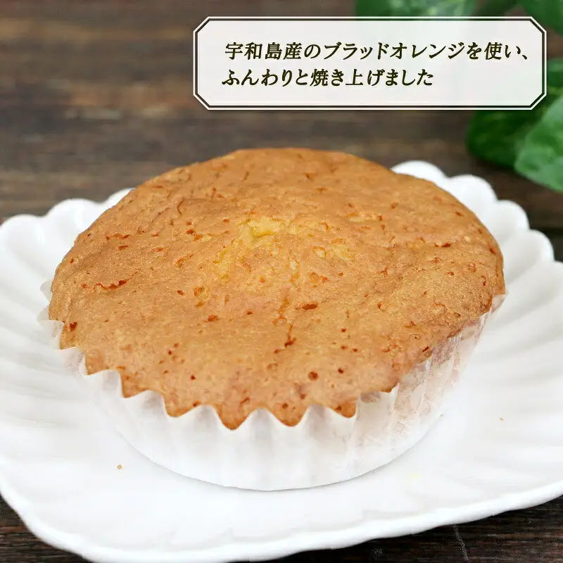 マドレーヌ ブラッドオレンジ 8個 寿提夢 洋菓子 おやつ 焼き菓子 ギフト 贈り物 人気 厳選 おすすめ マドレーヌ J010-097003