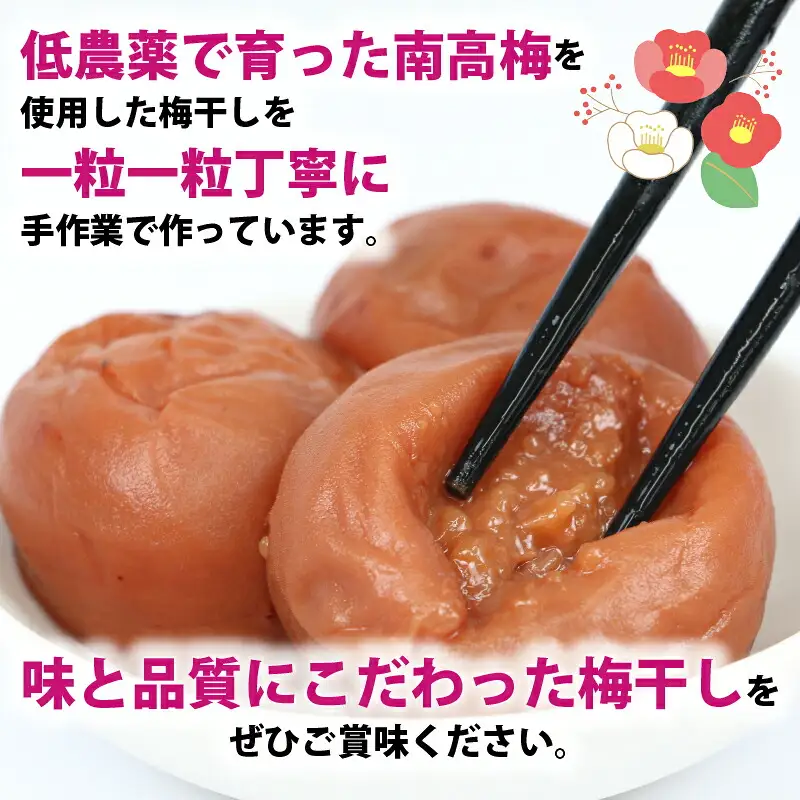 梅干し 1.1kg 先行予約 夢萬開 梅干し しそ漬け F010-105001