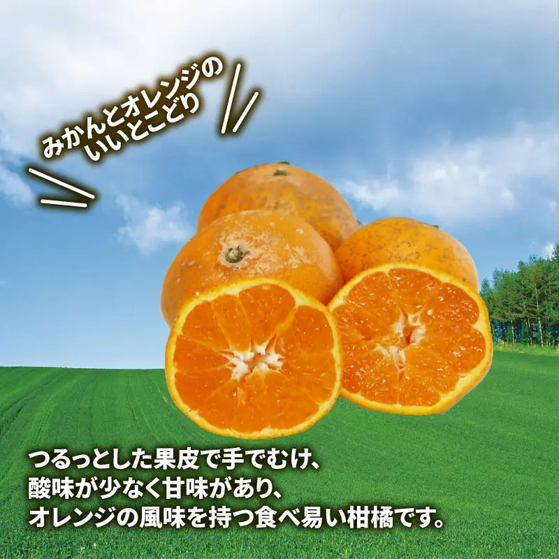 柑橘訳ありはれひめ5kg 先行予約マル南フルーツ みかん柑橘柑橘柑橘柑橘 B012-106002