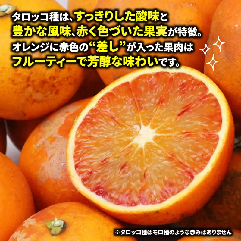 訳ありブラッドオレンジタロッコ5kg マル南フルーツ オレンジ B010-106011