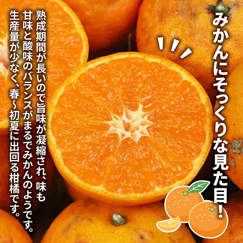 訳あり なつみ みかん 5kg マル南フルーツ 訳ありみかん B010-106012