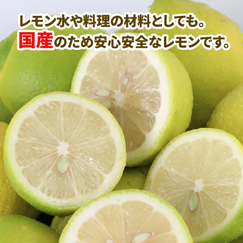 国産レモン 檸檬 レモン 訳あり グリーンレモン 5kg マル南フルーツ 先行予約 remon 愛媛県産レモン わけあり れもん 檸檬 レモン果汁 酸味 高級 希少 安心 果物 くだもの ビタミン 健康 フルーツ 訳アリ 訳あり品 柑橘 産地直送 数量限定 国産 愛媛 宇和島 B010-106016