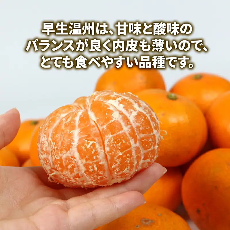 【温州みかん】 訳あり 温州みかん 早生 約10kg マル南フルーツ B010-106017