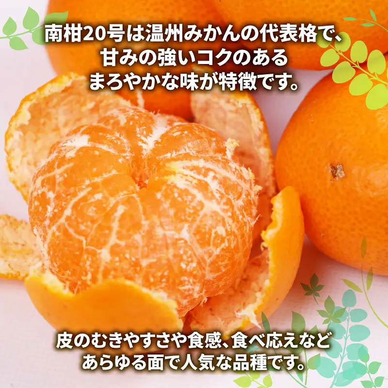 【訳あり】 みかん 南柑20号 約10kg マル南フルーツ B010-106018