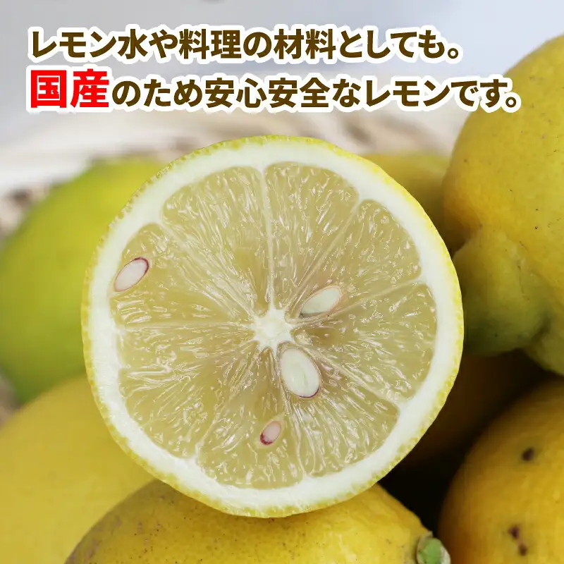 訳あり 檸檬 5kg マル南フルーツ 檸檬 B010-106020