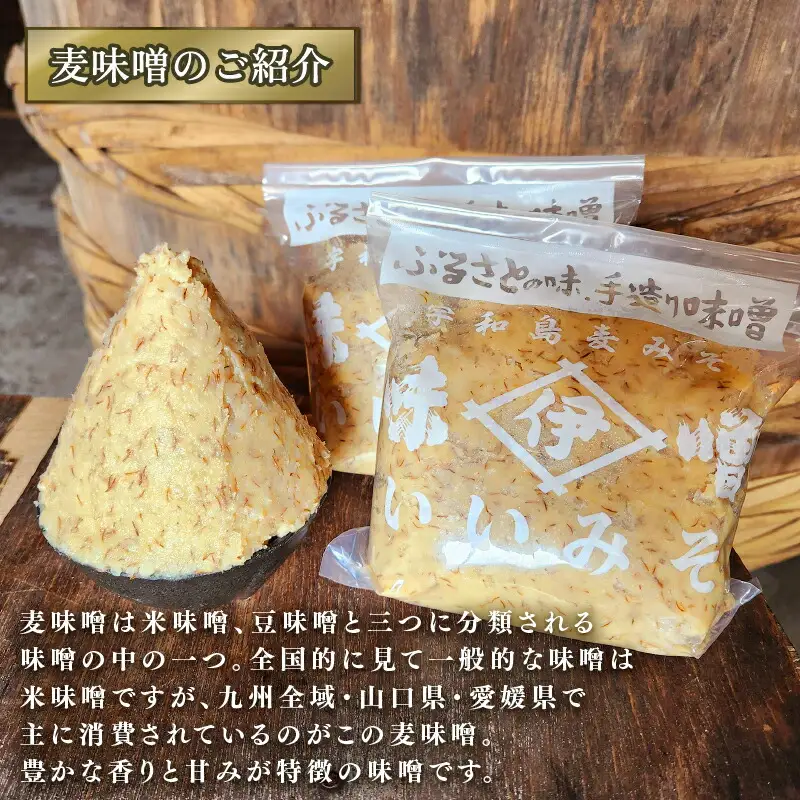 【マツコの知らない世界で紹介！】 みそ 麦みそ 4kg 井伊商店 J010-108001