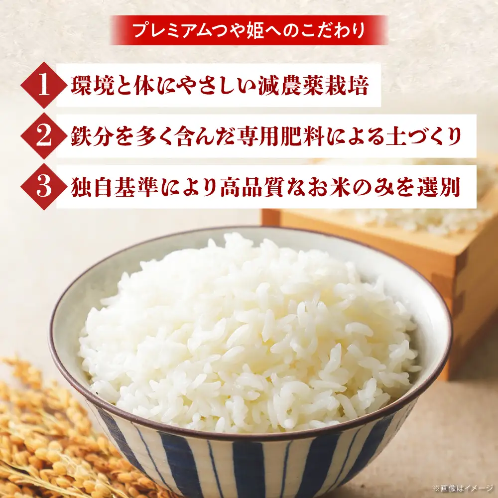 新米 【6回定期便】 プレミアムつや姫 4kg 新米 [AIBR003-r8]