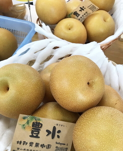 【早期予約】魚津：林秋男果樹園の完熟梨「豊水」5kg｜フルーツ なし 富山県魚津市　※2026年9月～発送