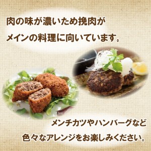ジビエ 鹿 シカ ミンチ 肉 200g × 3パック ロース モモ 切り落とし 鉄分 低カロリー 低脂肪 高たんぱく ヘルシー ハンバーグ メンチ カツ 料理 加工 冷凍 愛媛 愛南
