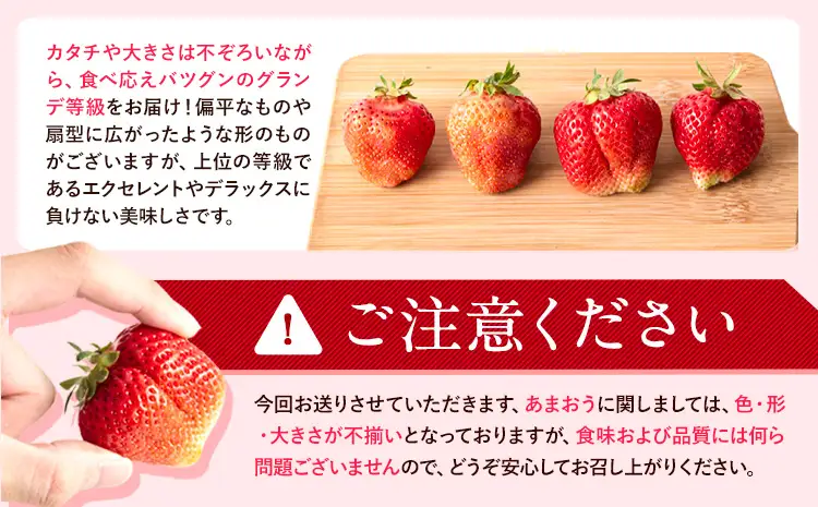 あまおう1500g いちご 先行予約