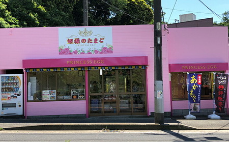 姫様のたまご・三浦半島産 赤玉子 140個【横須賀商工会議所 おもてなしギフト事務局（株式会社岩沢ポートリー）】 [AKET001]