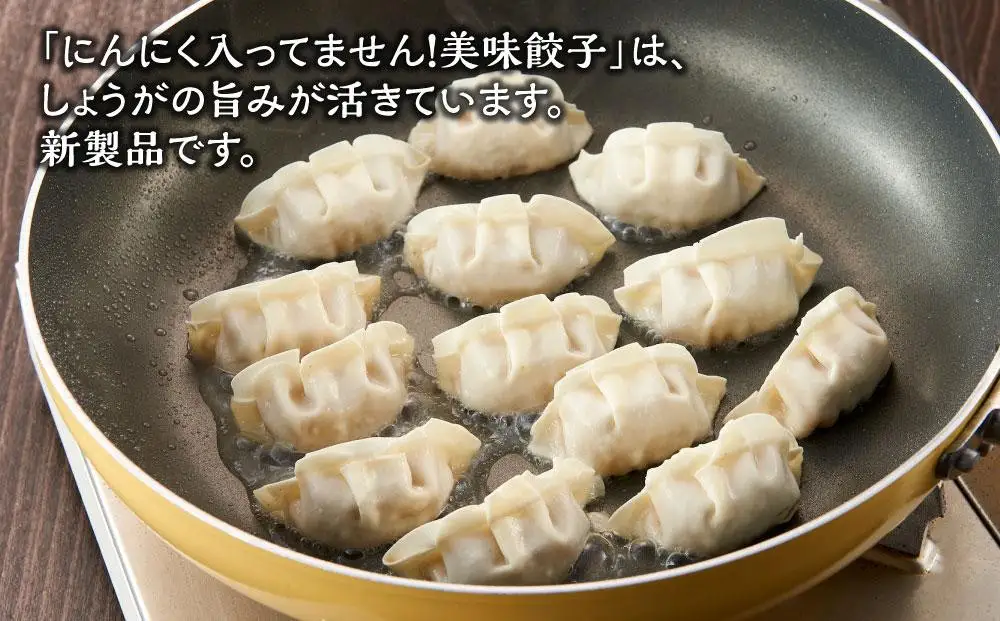 【博多のおみやげ 中華工房 点心点】博多一口餃子、にんにく入ってません！美味餃子、九州名物 ！高菜まん、特製 餃子のタレ付き | 福岡県 福岡市 福岡 九州 返礼品 納税 お取り寄せグルメ 取り寄せ グルメ ぎょうざ 餃子 ギョウザ ギョーザ