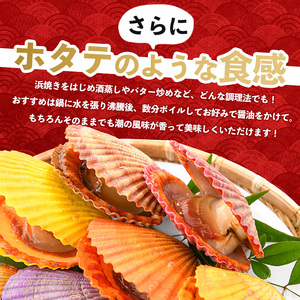 ＜先行受付＞長島特産！ヒオウギ貝(20個)【口之福浦ヒオウギ貝出荷グループ】 kuchi-7189