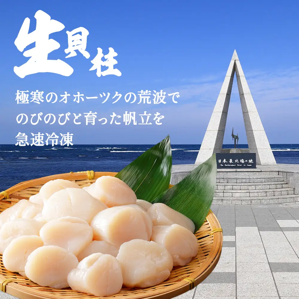 帆立 生 貝柱 サイズ混合 1kg 良玉 海鮮 刺身【配送不可地域：離島・沖縄県】